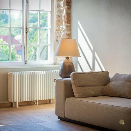 ヴィラ Jardin De L'abbaye, Demeure De Charme アンドーヴァル