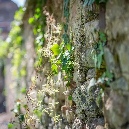 Jardin De L'abbaye, Demeure De Charme Andlau-au-Val