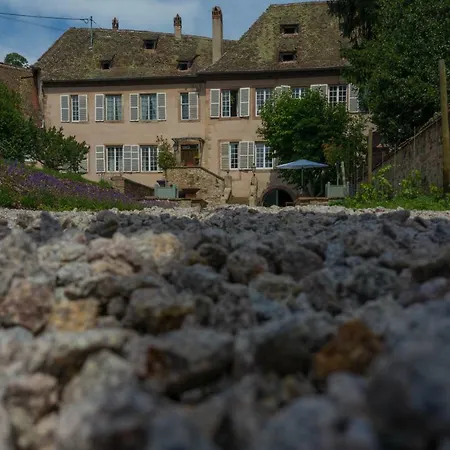 ヴィラ Jardin De L'abbaye, Demeure De Charme アンドーヴァル
